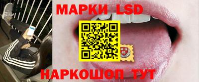 меф Гатчина