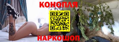 меф Гатчина