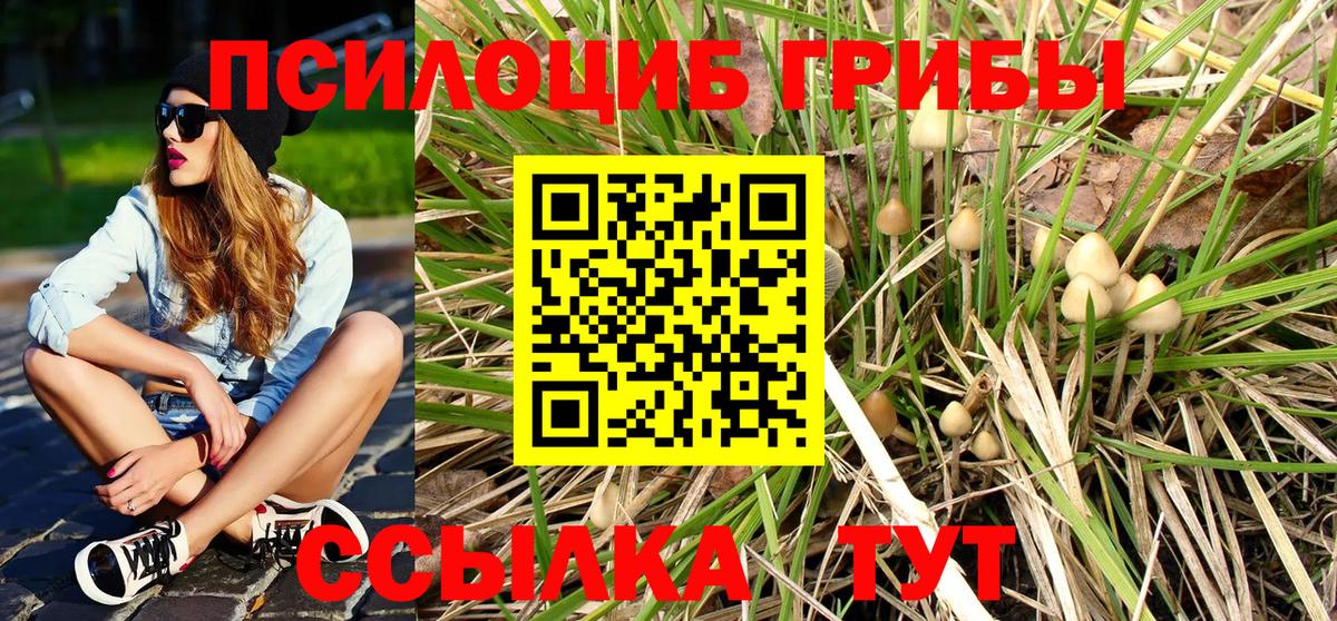 Псилоцибиновые грибы мицелий  Вход с VPN  Карачаевск 